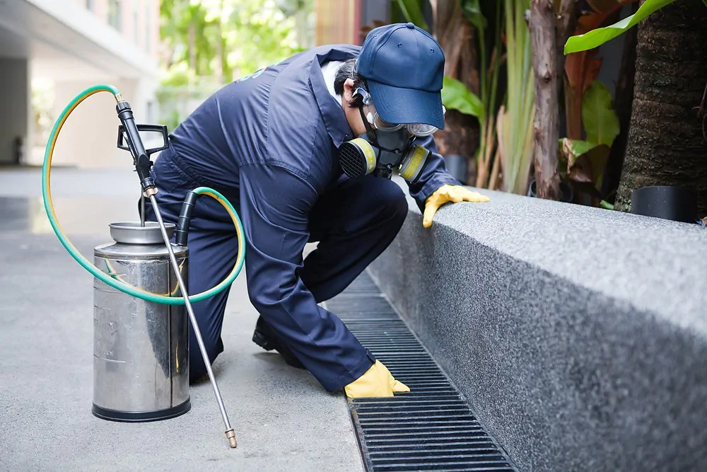 Pest control service in Melbourne